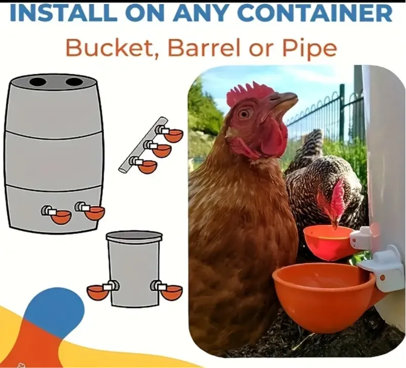 Automatic Watering Cups - For Low Pressure/Gravity Watering System (5ct)