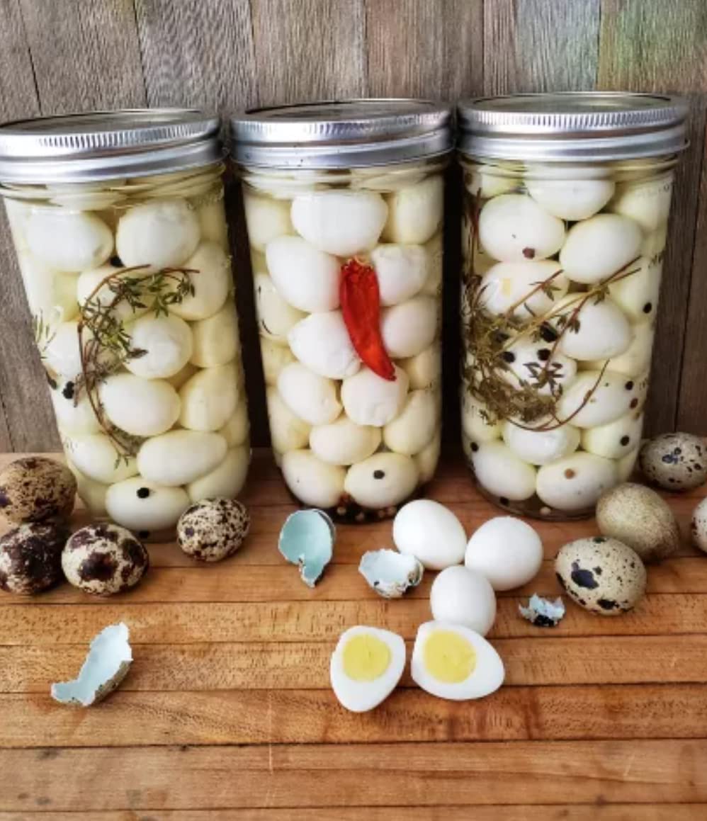 FARM FRESH Quail Eggs *Laid in the U.S.* Hormone Free; Non-GMO - Daily Bread Homestead