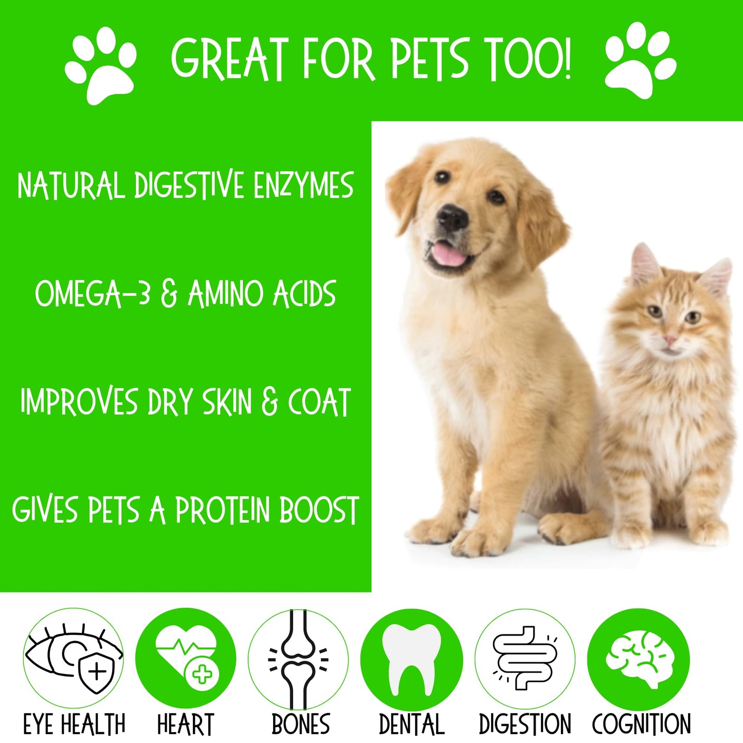 FARM FRESH Quail Eggs *Laid in the U.S.* Hormone Free; Non-GMO - Daily Bread Homestead