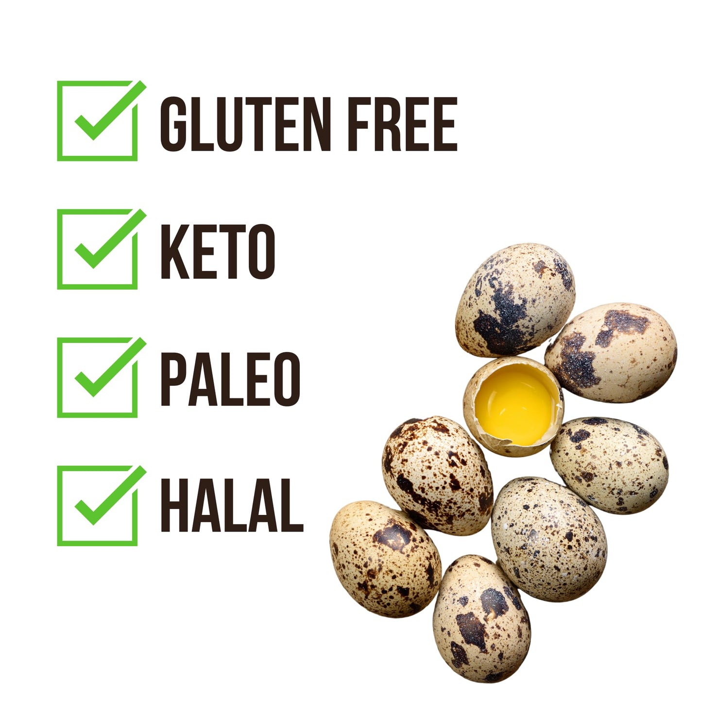 FARM FRESH Quail Eggs *Laid in the U.S.* Hormone Free; Non-GMO - Daily Bread Homestead