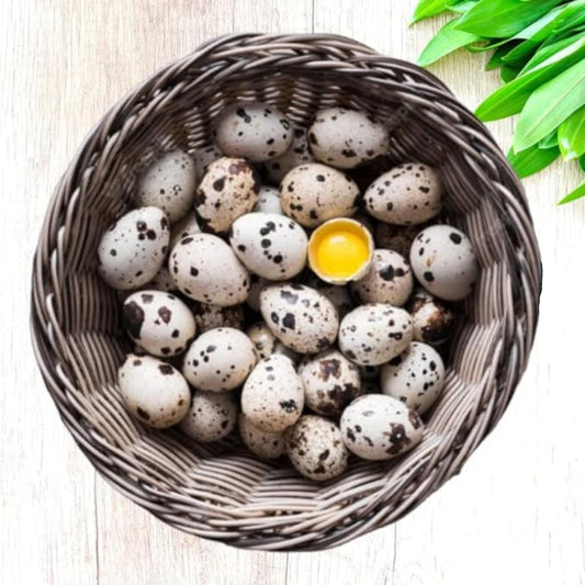 FARM FRESH Quail Eggs *Laid in the U.S.* Hormone Free; Non-GMO - Daily Bread Homestead