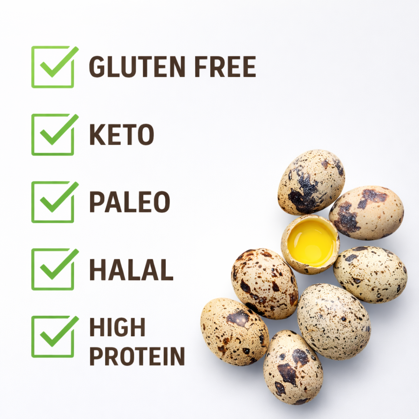 FARM FRESH Quail Eggs *Laid in the U.S.* Hormone Free; Non-GMO - Daily Bread Homestead