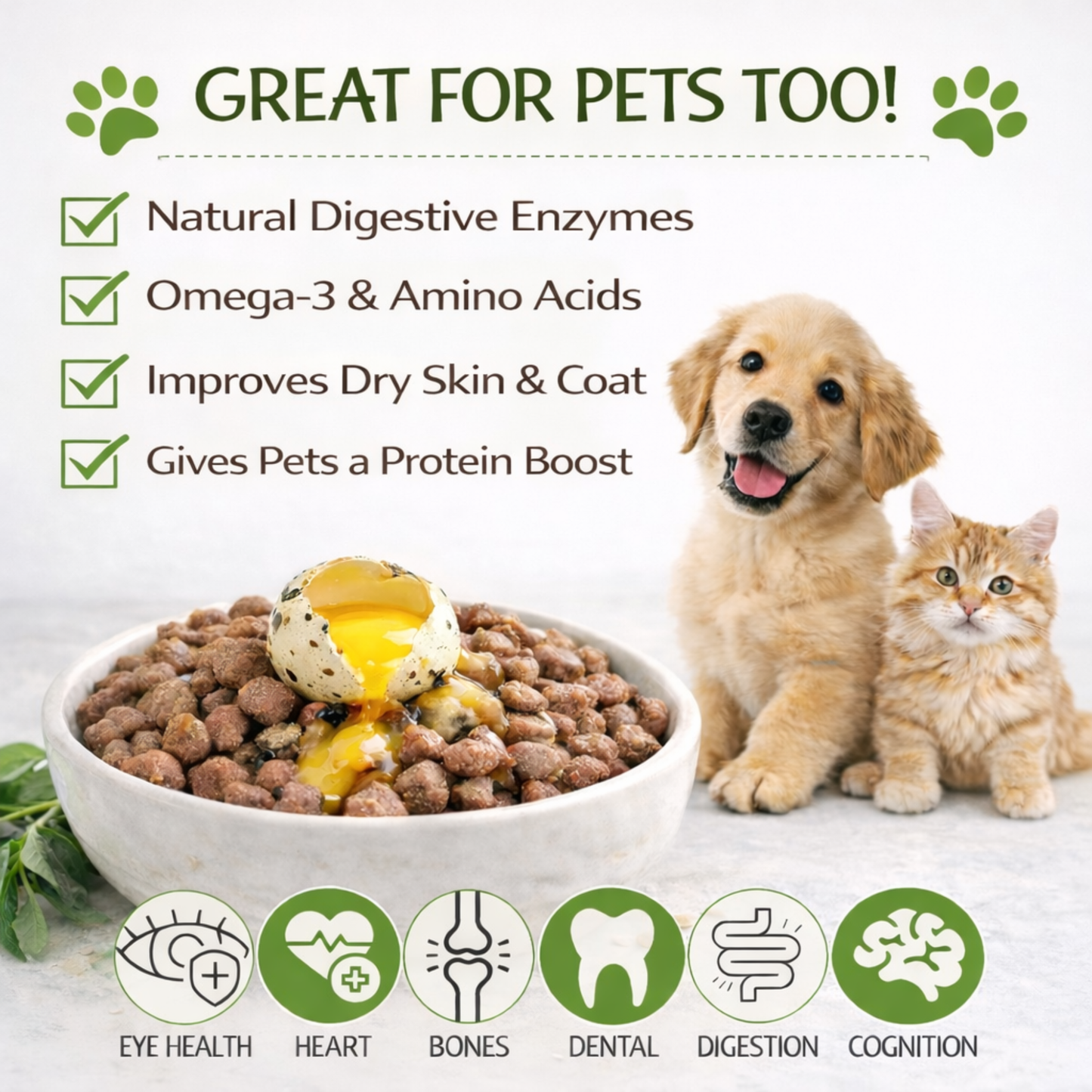 FARM FRESH Quail Eggs *Laid in the U.S.* Hormone Free; Non-GMO - Daily Bread Homestead